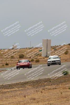 media/May-03-2025-Lucky Dog Racing (Sat) [[206de64b9d]]/Turn 6 (150pm-230pm)/